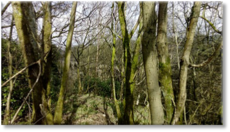 Moorgate Quarry - top of Uppermill Viaduct