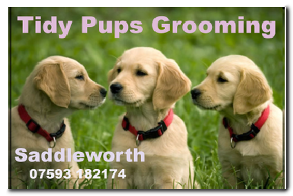 tidy pups grooming