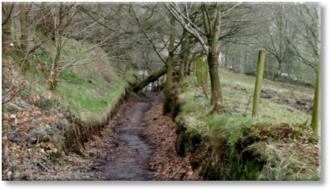 Quarry Walk Dark Lane