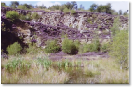 Moorgate Quarry View Heather